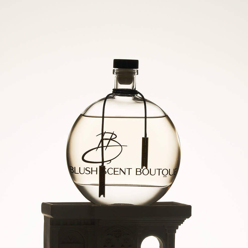 블러쉬 베이비풀문 오브제 인테리어 고급디퓨져 대용량디퓨저 실내방향제 (블랑쉬(호환))