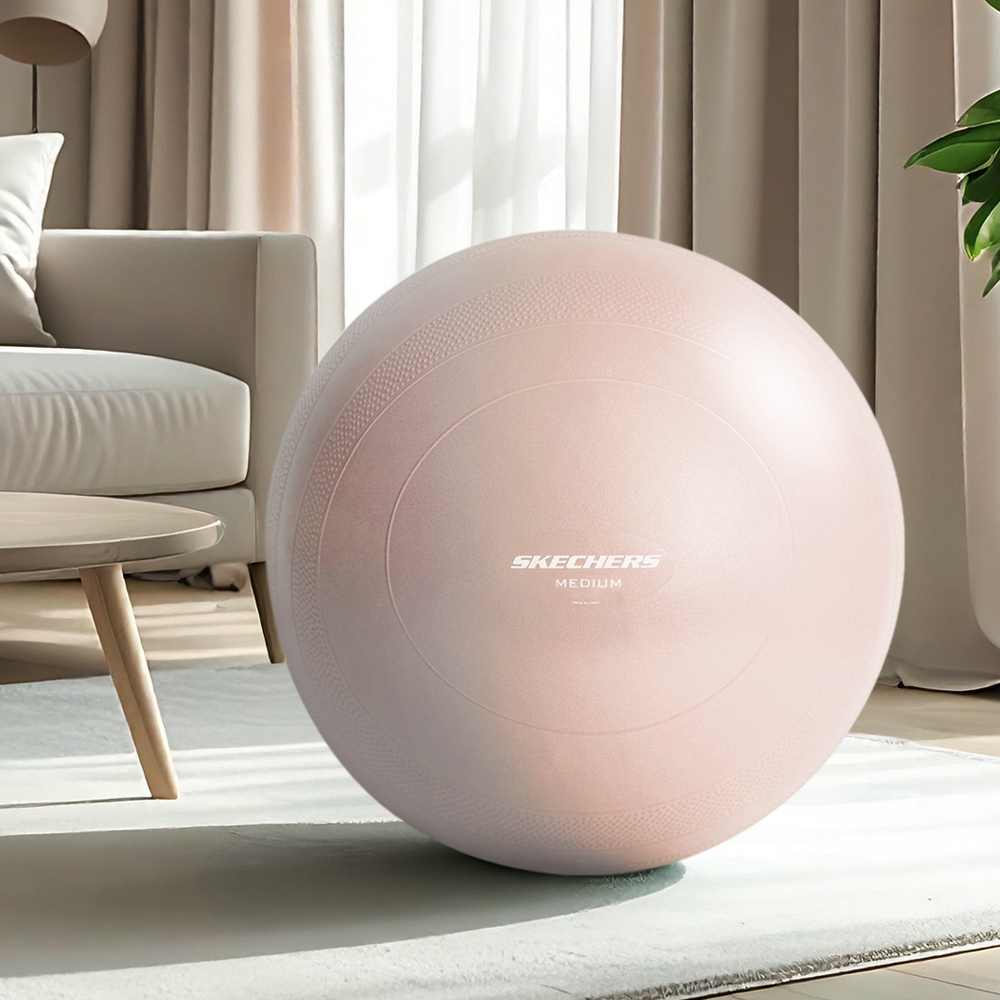 스케쳐스 고중량 안티버스트 짐볼 1.2kg