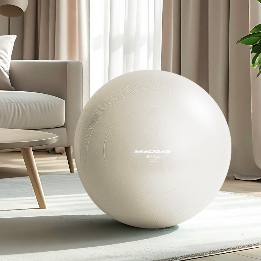 스케쳐스 고중량 안티버스트 짐볼 1.1kg