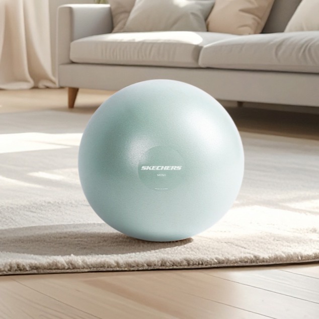 스케쳐스 고중량 안티버스트 짐볼 150g